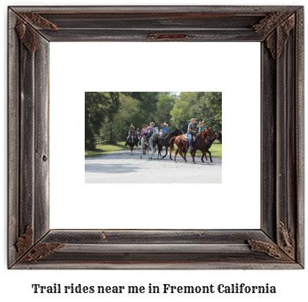 trail rides near me in Fremont, California